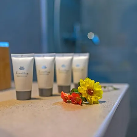 Casa Sofia Apt#2, By Hellocrete Apartamento *