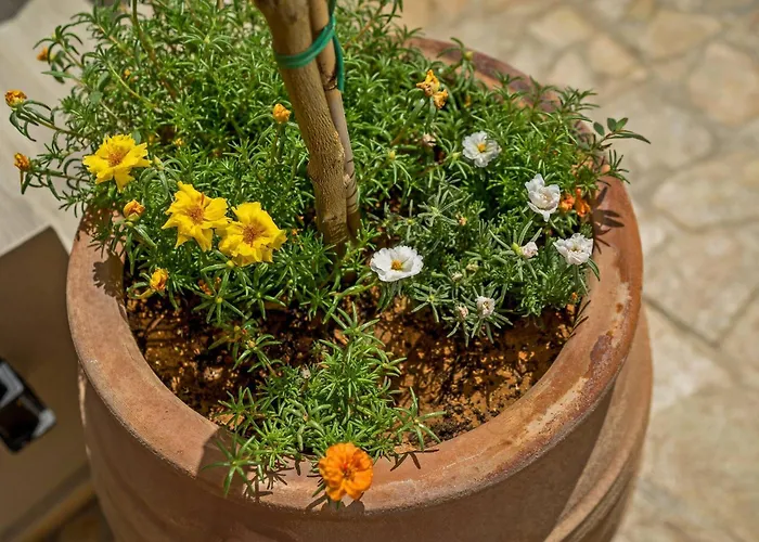 Apartamento Casa Sofia Apt#2, By Hellocrete *