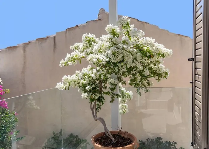 Casa Sofia Apt#2, By Hellocrete Apartament